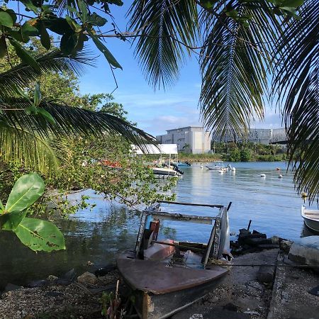 Appartement Avec Vue Panoramique De Pointe-A-Pitre Luaran gambar